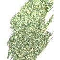 Pyłek do paznokci Neess Magpie Effect zielony